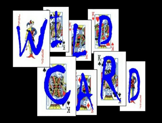 Wild Card Shows 2011